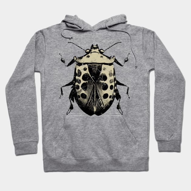 Stink Bug Insect Art Hoodie by All-About-Words